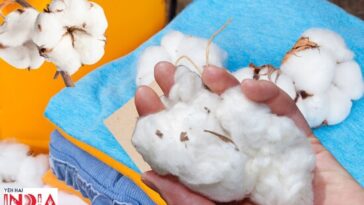 Why Cotton Dhoties Will Always Make A Winning Choice