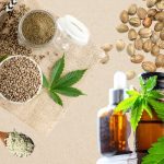 Best Hemp Startups in India