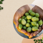 Kakadu Plum