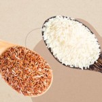 Brown Rice vs White Rice