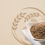 Jeera Recipes