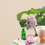 Best Onion oil infused Products : Onion Hair Care