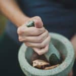 history of ayurveda