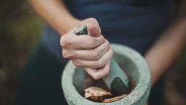 history of ayurveda