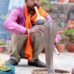 stereotypes about india