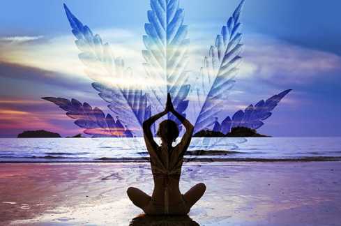 Cannabis Yoga