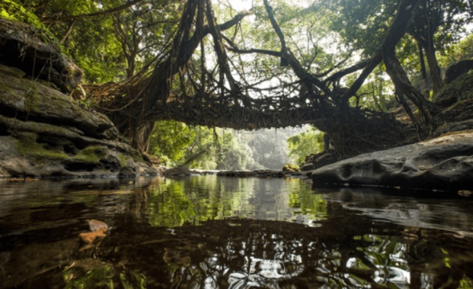 Mawlynnong – Asia’s cleanest village for rural tourism