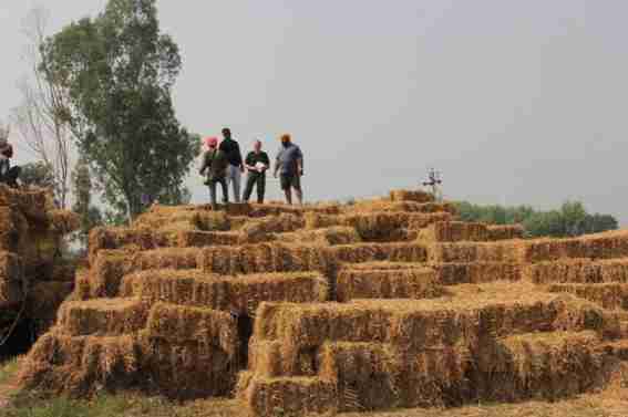 Straw to Make Fuel, Eco-Products