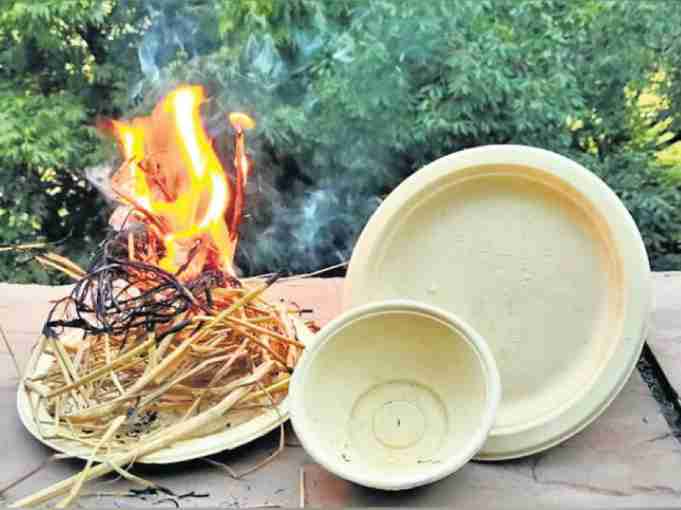Converting Crop Stubble to Biodegradable Cutlery