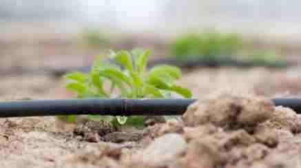 Waste Decomposer