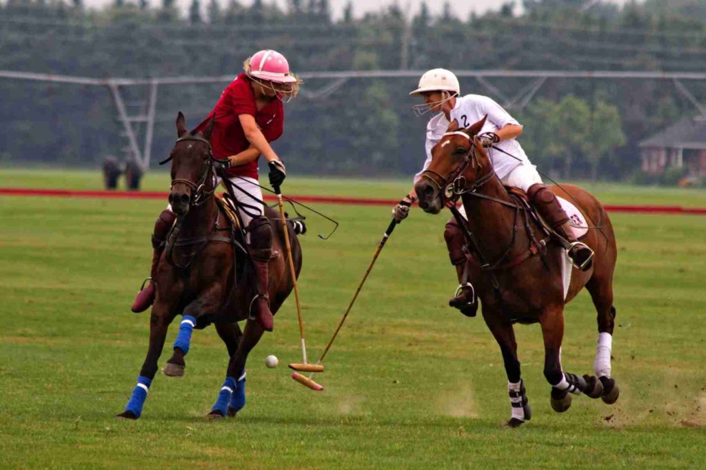 POLO