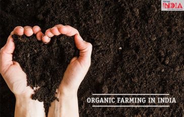 Organic Farming in India, Organic Farming Definition, Methods, & Benefits