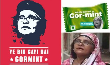 Indian Era of Digital Memes