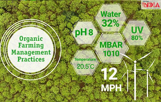 Organic Farming Management Practices