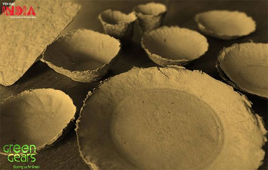 eco-friendly and sustainable solutions