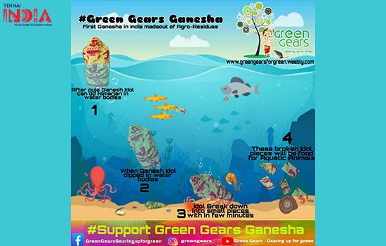 eco-friendly and sustainable solutions