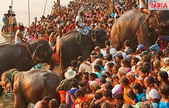 Navaratri in Bihar