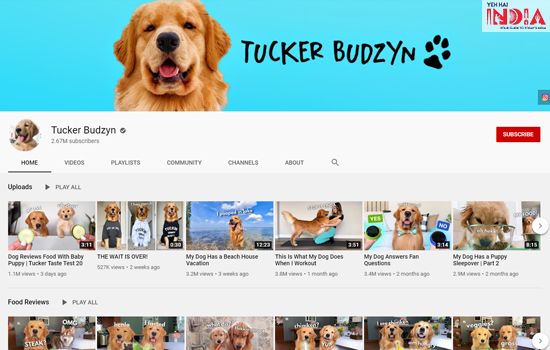 Tucker Budzyn