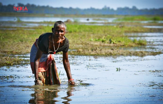 water crisis - wetland
