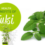 https://yayurvedic superfoods tulsi