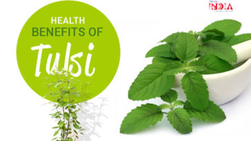 https://yayurvedic superfoods tulsi