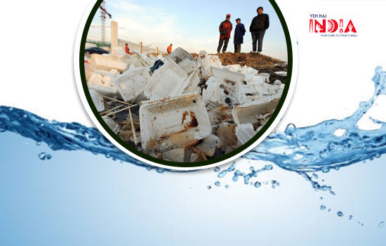 Plastic Pollution from Disposable Plates
