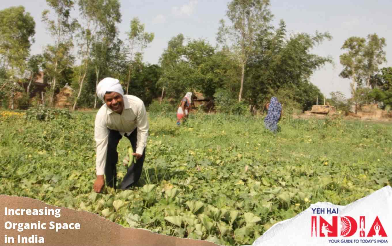 organic farming in india