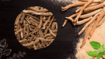 10 Amazing Ashwagandha Benefits