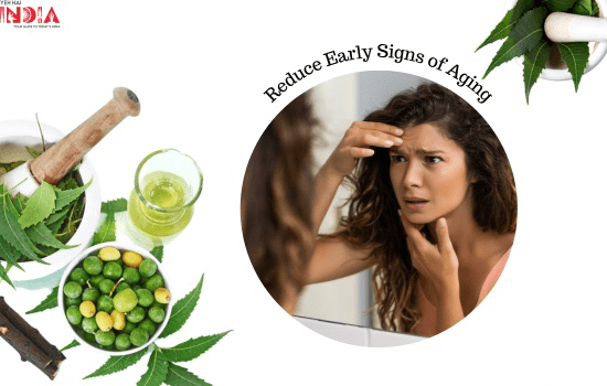 Neem Reduces Early Signs of Aging