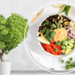 Plant-Based Diet