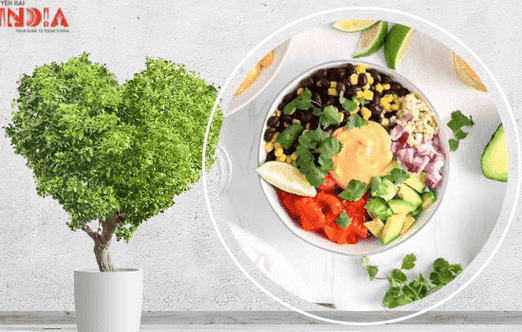 Plant-Based Diet