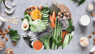 20 Plant based protein rich foods