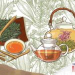 Top Herbal Teas in India