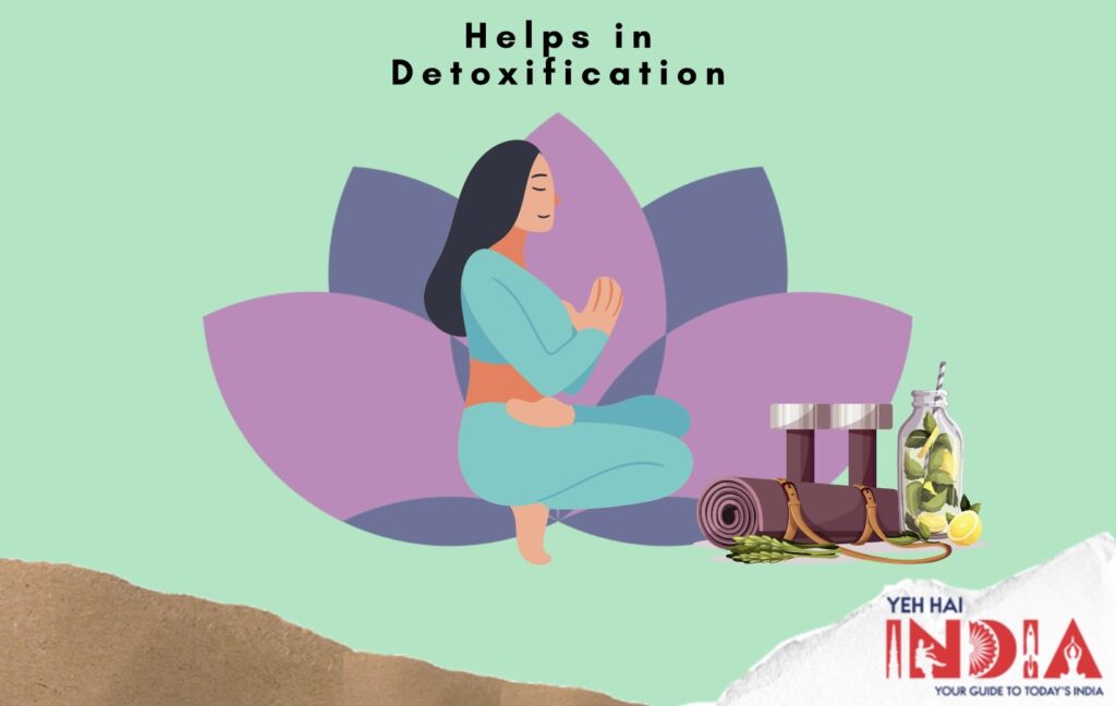 Helps in Detoxification