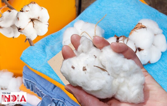 Why Cotton Dhoties Will Always Make A Winning Choice