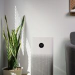 Top 10 Air Purifiers in India