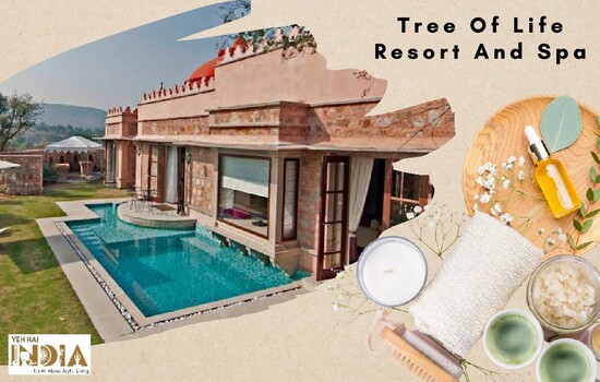 Tree Of Life Spa And Wellness Resort