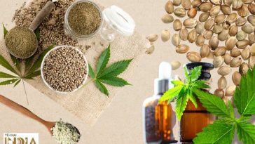 Best Hemp Startups in India