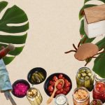Ways To Rid Your Home Of Pests