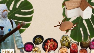 Ways To Rid Your Home Of Pests