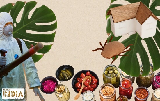 Ways To Rid Your Home Of Pests