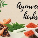 Ayurvedic Herbs Benefits