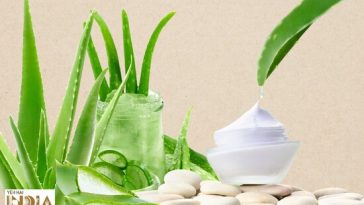 Top 10 Aloe Vera Gels To Soothe Your Skin