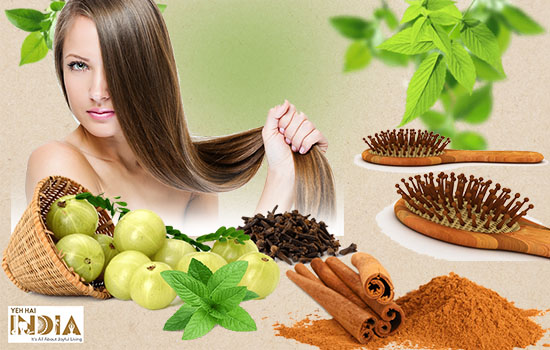 Hair fall Treatment By Ayurveda