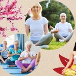 Yoga for The Elderly