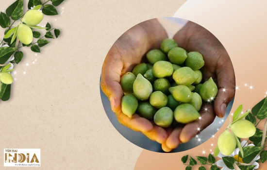 Kakadu Plum