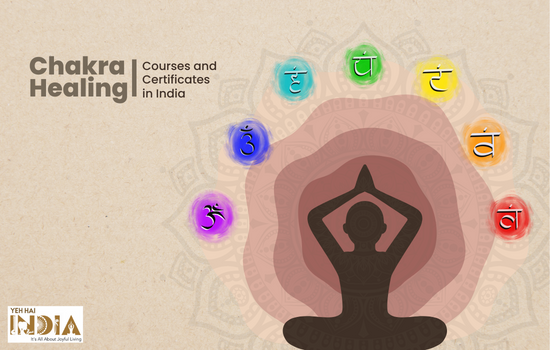 Best Institutions Offering Chakra Healing Courses And Certifications In India