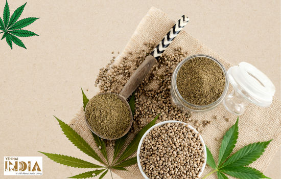 Hemp: An Anti-Ageing Ingredient That Works
