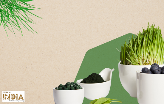 Spirulina Helps Prevents cancer