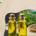 Best Hemp Seed Oil in India